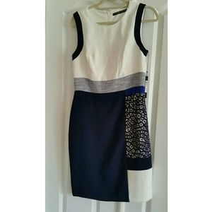 Cute Ivanka Trump Sleeveless Dress (Work Wear)